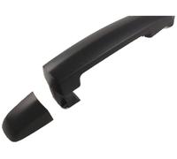 PRASCO Türgriff SZ0568301