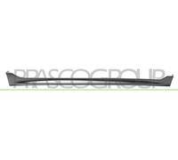Prasco - SZ2021403 - Suzuki - Swift Sport - Mod. 09/17 - - Barra de entrada de puerta derecha