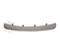 PRASCO Tira Decorativa/Protección Parachoques Delante Para BMW X5 E70 Gris Cromo