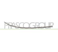 PRASCO Tira Protectora Decorativa Paragolpes delantero derecho para
