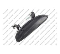 PRASCO Tirador de Puerta Exterior Detrás Derecho Delant. para Dacia Logan MCV Ks