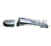 PRASCO Tirador de Puerta Exterior Trasero Izquierdo Apto para Kia Sorento II XM