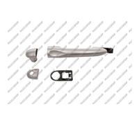 PRASCO Tirador de Puerta Exterior Trasero Izquierdo Delantero Apto para Renault