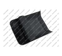 PRASCO Tirador de Puerta Exterior Trasero Izquierdo para Citroën Berlingo Mf