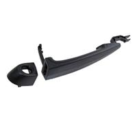 Prasco Türgriff BM8228002