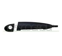 PRASCO Türgriff BM8228004