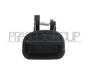 PRASCO Türgriff DS9178501