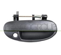 Prasco Türgriff DW0208001