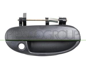 Prasco Türgriff DW0208001