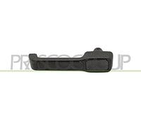 PRASCO Türgriff FT1298111