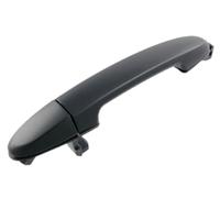 PRASCO Türgriff HN8168003