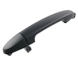PRASCO Türgriff HN8168003