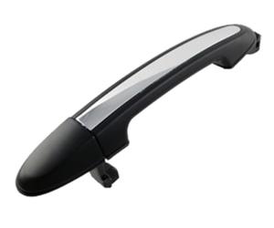 PRASCO Türgriff HN8168123