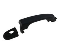 Prasco Türgriff KI0228004