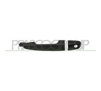 PRASCO Türgriff MB8218013