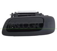 MANIJA DE PUERTA LM986Q 5138156