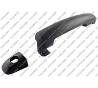 PRASCO Türgriff SZ0568302