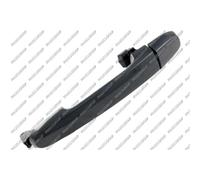 PRASCO Türgriff TY3508001