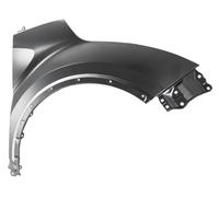 PRASCO TY7003003 Guardabarros Delante, derecha