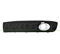 PRASCO VG9192134 Rejilla de ventilación parachoques Delante, izquierda Compatible con VW Transporter T5 Furgoneta 7HA, 7HH, 7EA, 7EH Transporter T5 Bus 7HB, 7HJ, 7EB, 7EJ, 7EF, 7EG, 7HF, 7EC