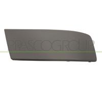 Prasco VW9191245 Tiras Protectoras para Coches