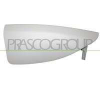PRASCO Zier-/Schutzleiste, Kühlergitter JG8001244