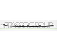 PRASCO Zier-/Schutzleiste, Kühlergitter ME0471244