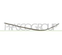 PRASCO Zier-/Schutzleiste, Stoßfänger ME0271248