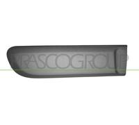 PRASCO Zier-/Schutzleiste, Tür FT1241463