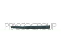 PRASCO Zier-/Schutzleiste, Tür PG0091453
