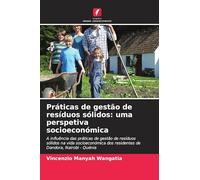 Práticas de gestão de resíduos sólidos: uma perspetiva socioeconómica
