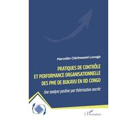 Pratiques de contrôle et performance organisationnelle des PME de Bukavu en RD Congo: Une analyse positive par théorisation ancrée (Dynamiques D'Entreprises)