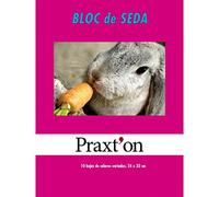 PRAXTON Papel Seda, Bloc x10 Hojas Surtidas en Colores, 320 x 240 mm, Para Manualidades y Envolver Regalos