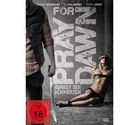 Pray for Dawn - Bunker der Schmerzen [DVD]