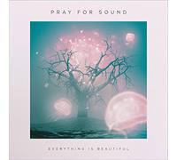 Pray For Sound - Everything Is Beautiful