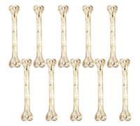 Pre-Drilled Skin-Friendly Ornaments - Miniature Skeleton Bones Supply