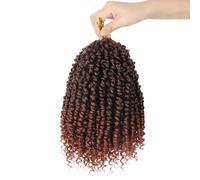 Pre-twisted Passion Twist Crochet Hair 10 Inch 8 Packs Crochet Passion Twists Pre Looped Short Passion Twist Hair Crochet Braids Bohemian C