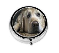Precioso pastillero con diseño de perro labrador, con 3 compartimentos, organizador portátil