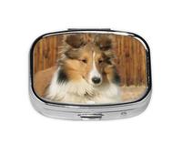 Precioso perro sheltie, Pastillero cuadrado para bolsillo o monedero, pequeño contenedor de pastillas, organizador de pastillas de viaje