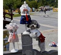 Precioso vestido de invierno aterciopelado para mascotas, ajuste cómodo que permite libertad de movimiento mientras las mantiene a la moda esta temporada (B)