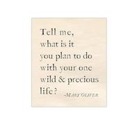 Precious Life Poster Wild Days | Caregiver burnout ends once mantras fill eyes(Magnetic,12x18inch(30x45cm))