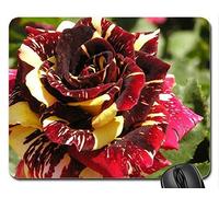 (Precisión Cosida) Alfombrilla para ratón Alfombrilla de ratón del Juego Belleza Color de Rosa Abracadabra Alfombrilla de ratón, Mousepad (Alfombrilla de ratón Rose)