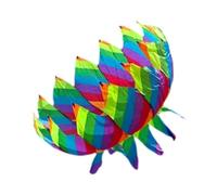 predolo Cometa 3D Fácil de Volar para Niños Y Niñas en Verano, Color del Arcoiris