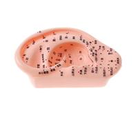 predolo Modelo de Oreja Humana Estatua de Educativa con Puntos de Reflexología en Material PVC Adecuada para Presentación en Colección y
