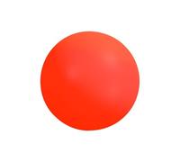 predolo Pelota de Hockey, Pelota de Hockey sobre Patines de PVC Reutilizable para Niños Y Niñas, 2,56 Pulgadas, Profesional para Competición en Inte