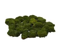 prefleur Cojín de Musgo preservado para moño, Verde Natural, Decorativo, Verde Natural, Kit de Bricolaje terrarios, decoración de Pared, decoración de floristería(Verde-A) (1.5 pies Cuadrados)