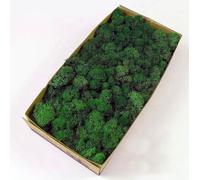 prefleur Musgo de reno conservado para manualidades, kit de bricolaje natural, arte de jardín, pared, verde oliva, floristería, Pascua, decoración de mesa, boda (0,4 kg) (verde-12)