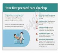 Pregnancy Preparation Poster First Prenatal Appointment Checklist Guide for First Time Parents Gift Idea(Unframed,16x24inch(40x60cm))