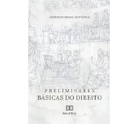 Preliminares Básicas Do Direito (ebook)