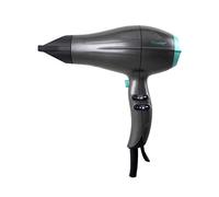 PREMIER BY BASTILIPO - Secador de Pelo Profesional AC - Pro Series - 2000 W con Función Cool Shot - SP-2000AC